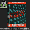 Melbourne Bounce 墨尔本弹跳风格 FL Studio工程模版 Vol 2